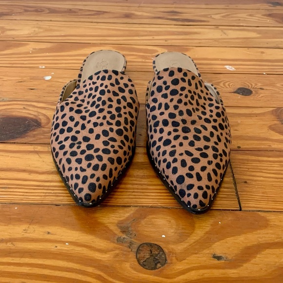 LOFT Shoes - LOFT Leopard Print Mules